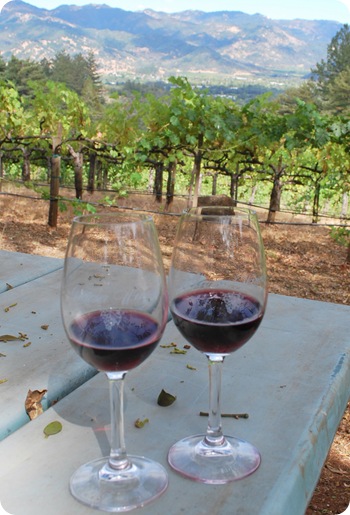 cab franc and valley views