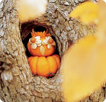 ms owl pumpkin