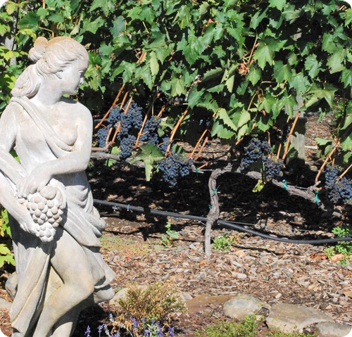 statue and grapes