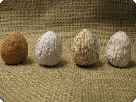 walnuts four stages