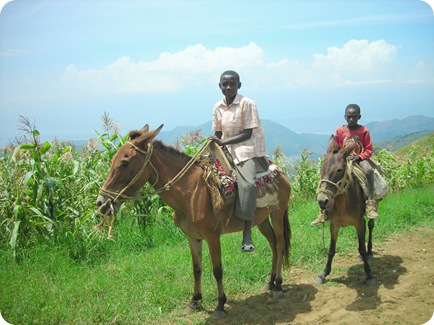 haitian boy on horses