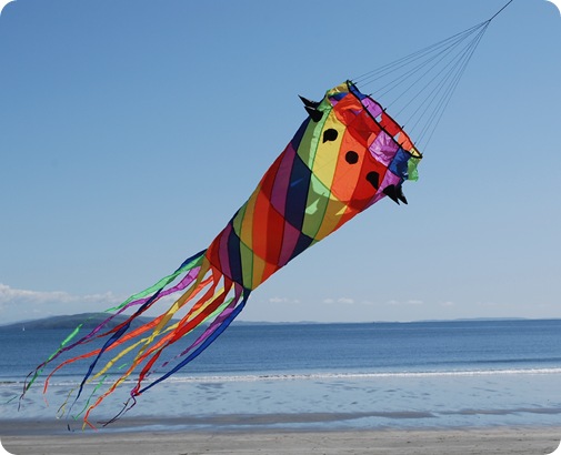 beach jelly kite 2