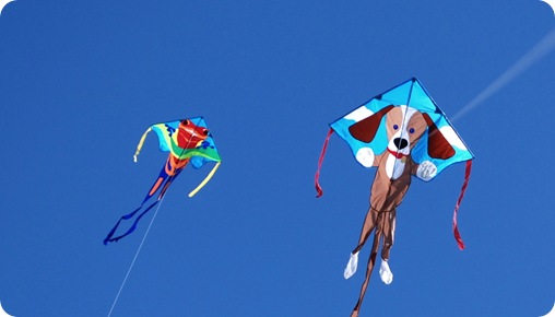 beach kites