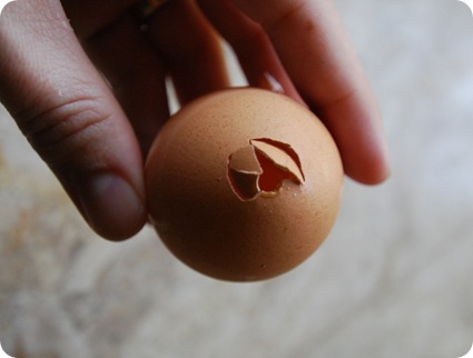 little hole in egg