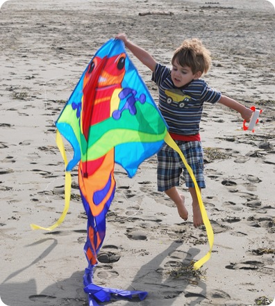 throwing kite