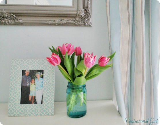 cg frame tulips curtain