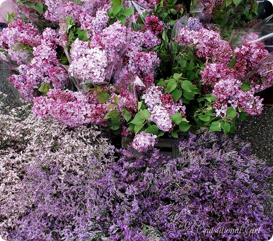 cg lilacs and heather