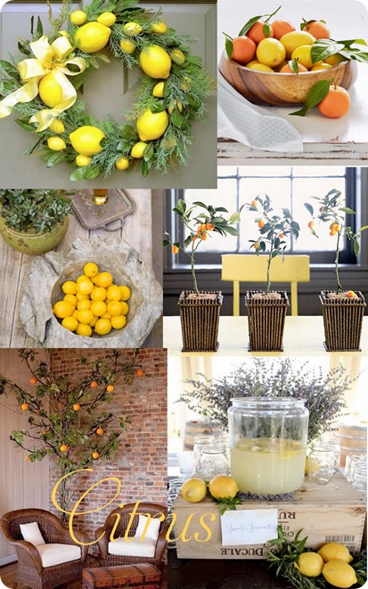 citrus collage