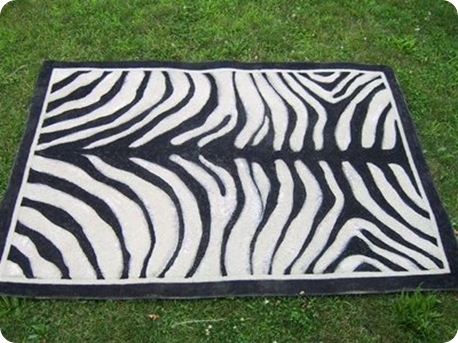 zebra rug after1