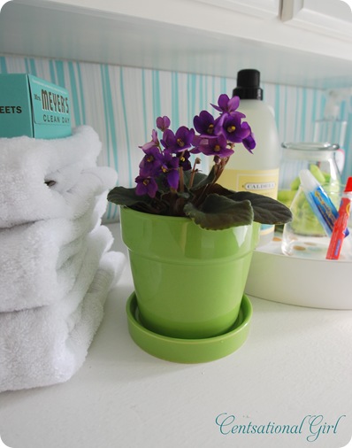 cg white towels and plant