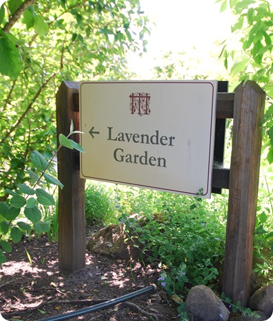 lavender garden sign