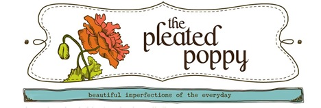 pleated poppy banner