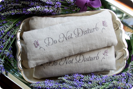 Lavender Natural Inspirations Soothing Eye Spa Pillow and Hand Creme Gift Set