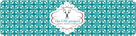 csi project