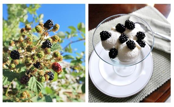 blackberries on ice cream