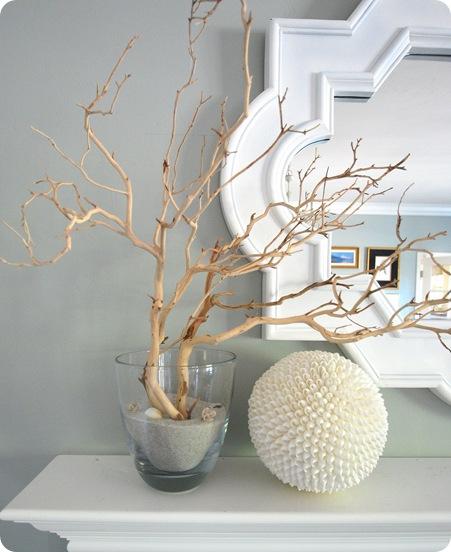 manzanita branches shell ball