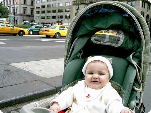 baby and taxis