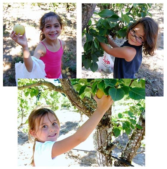 girls picking apples