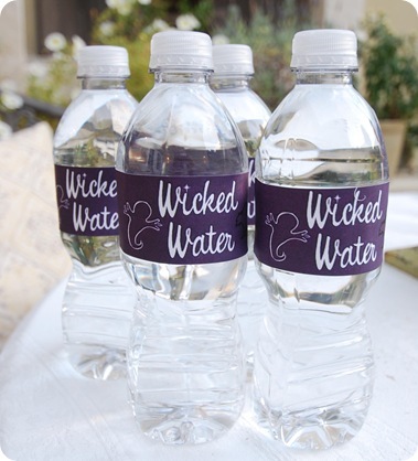 wicked water bottles