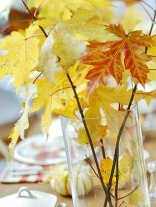 fall leaves in vase