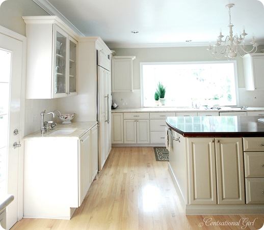 10 Lessons Learned From Building A Kitchen Centsational Style