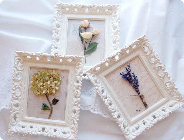 framed dried flowers