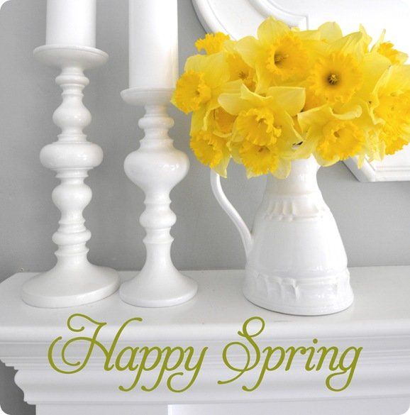 happy spring daffodils