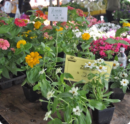 farmers market flowers