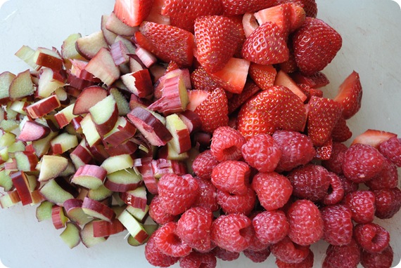 rhubarb raspberries strawberries