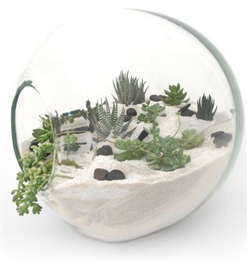 james modern bespoke terrarium