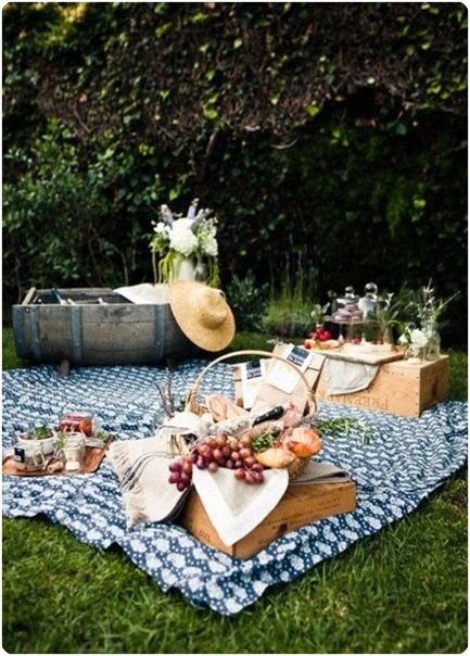picnic on lawn