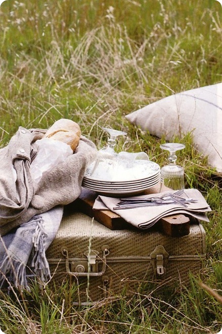suitcase picnic