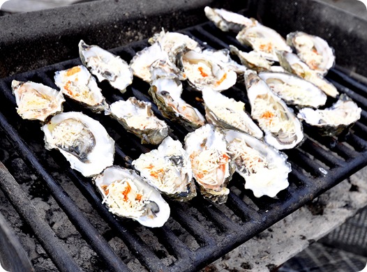 bbq oysters