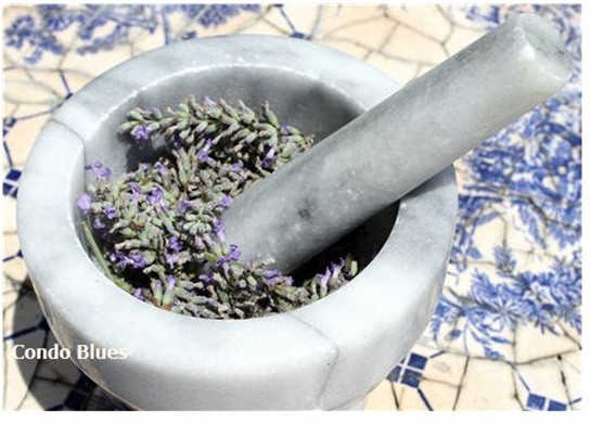 lavender essential oil condo blues