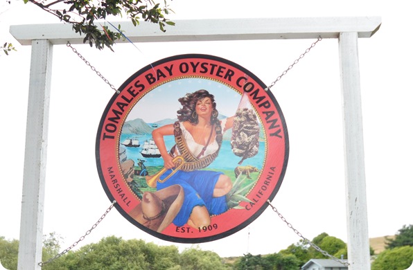 tomales bay oyster co