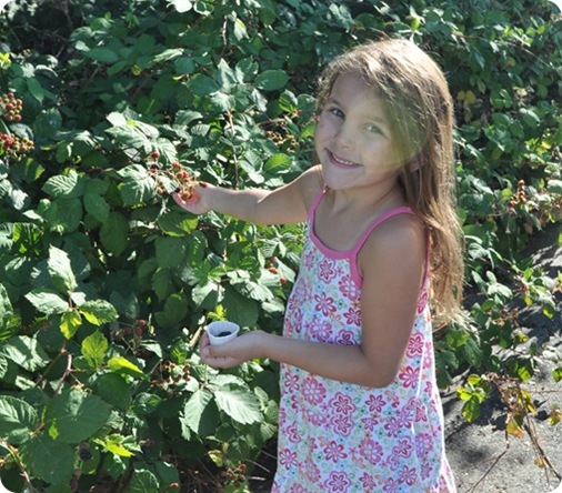 girl-picking-blackberries_thumb1