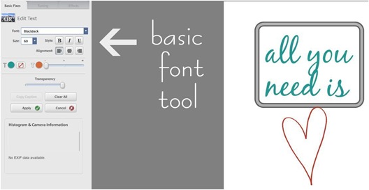 picasa basic font tool