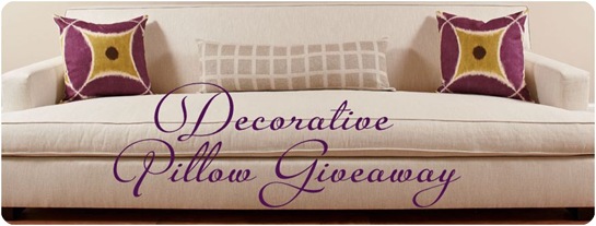 decorative pillow giveaway sofa