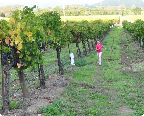 child running in vineyard