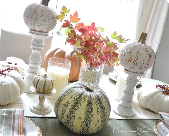 fall pumpkins on table cg