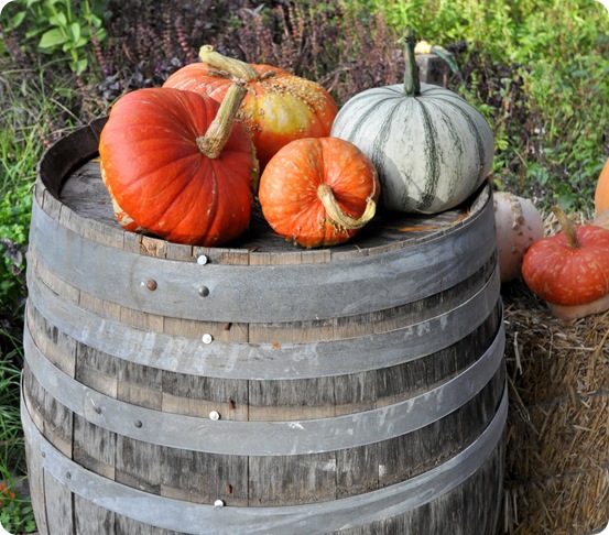 pumpkins on barrel