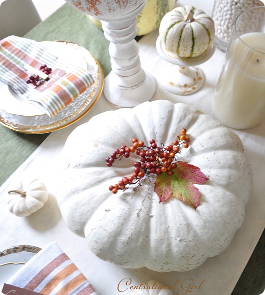 white pumpkin on table cg
