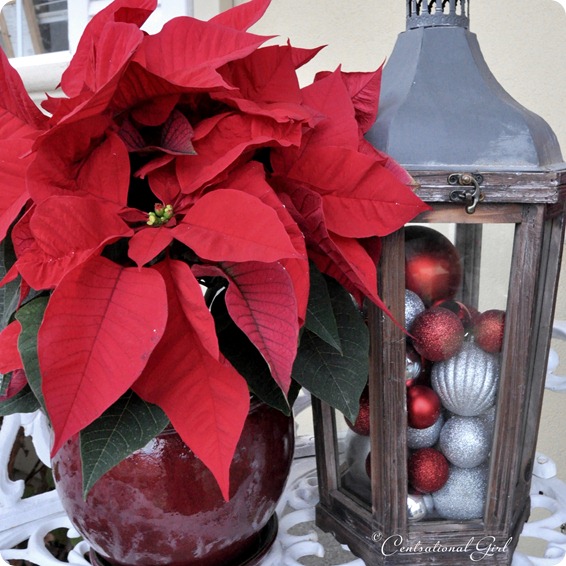 lantern with ornaments and poinsettas cg