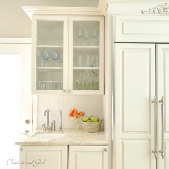 glass kitchen cabinet cg