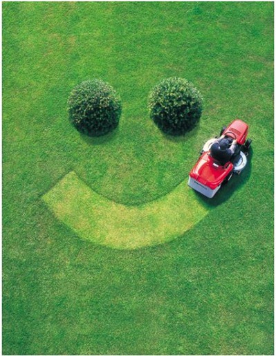 cut lawn