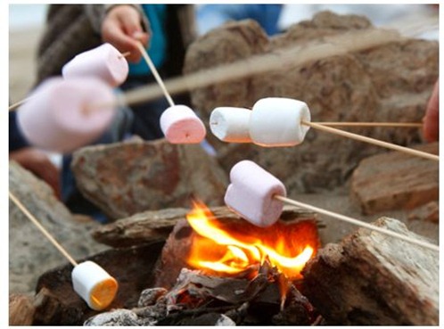 marshmallows on stick