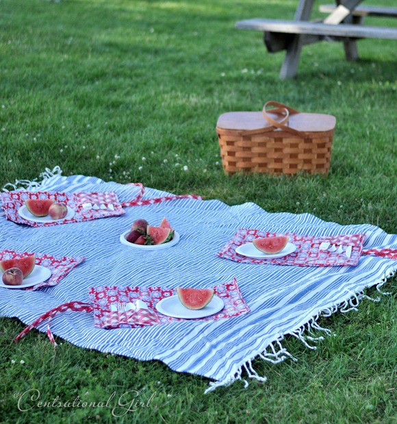 picnic by lake