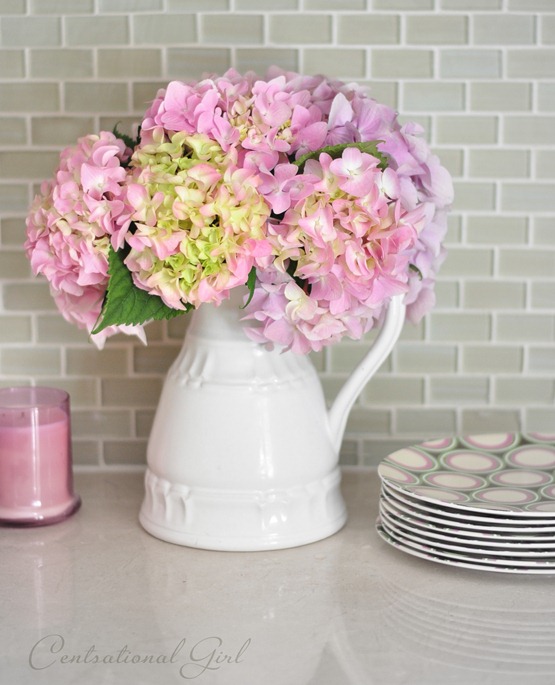 pink hydrangeas in vase cg