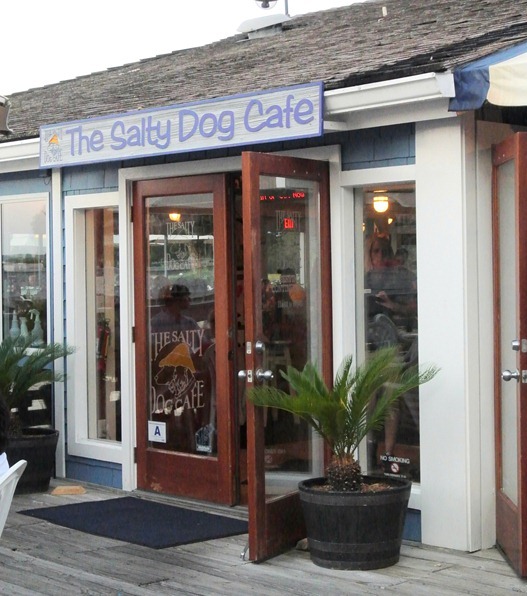 the salty dog