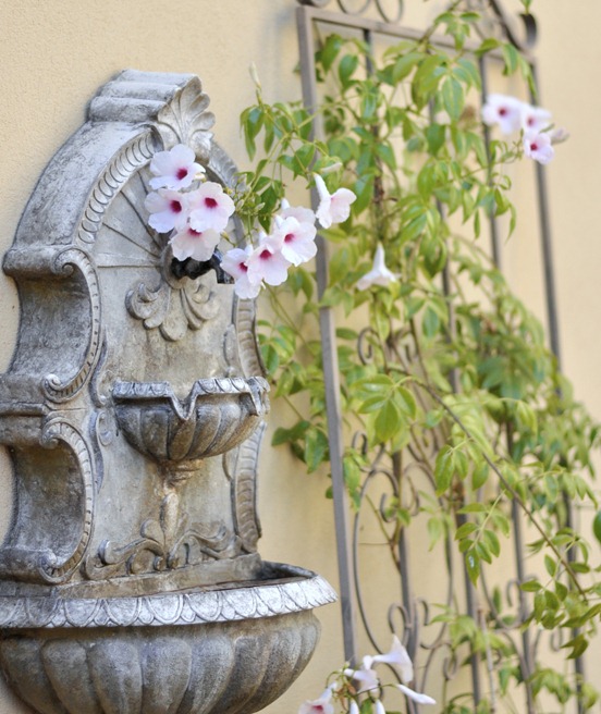 bower vine on wall fountain